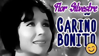 Cariño bonito video musical de Flor Silvestre HD [upl. by Kassi226]