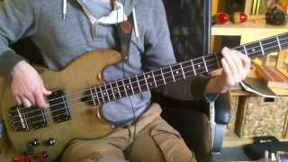 Red Hot Chili Peppers  Mellowship slinky in B Major played with wal mk1 [upl. by Tigdirb]