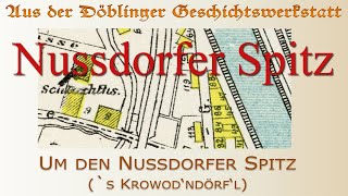 Nussdorfer Spitz [upl. by Hsiri]