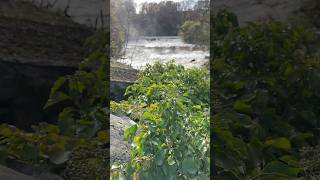 Stunning waterfall walk direct from the campsite aysgarthfalls yorkshire yorkshiredales [upl. by Trevar]