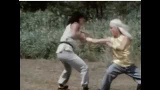 Secret of shaolin kung fu  Final fight scene [upl. by Erb]