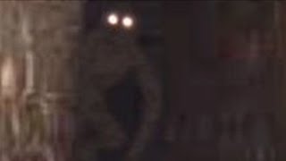 Strange Sewer Creature Caught on Camera  Debunked [upl. by Ivers]