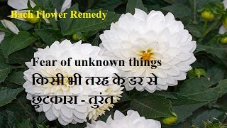 How to overcome fears with Bach Flower Remedy by rohit nain [upl. by April134]