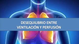 Desequilibrio entre ventilación y perfusión [upl. by Hayilaa]