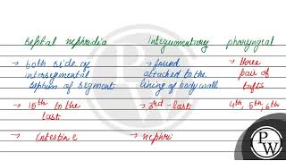 Differentiate three types of nephridia of earthworm [upl. by Gertrud]