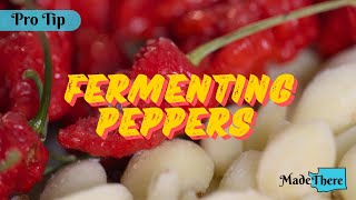 Pro Tip Fermenting Peppers with Matthew Mini of Funkys Hot Sauce Factory  Made There [upl. by Yole]