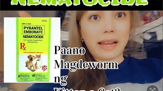 PAANO MAG DEWORM NG KITTEN O CAT  NEMATOCIDE pang deworm  CatVlog 68 deworm cat kitten [upl. by Dachi]