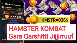 HAMSTER KOMBAT Gara Qarshitti Jijjiirruuf  HAMSTER KOMBAT In Ethiopia [upl. by Rratsal564]