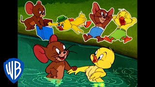 Tom amp Jerry  Best of Jerry and Little Quacker  Classic Cartoon Compilation  WB Kids [upl. by Claude]