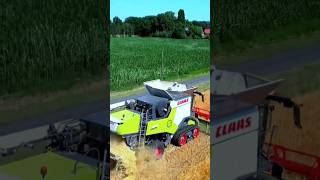 Claas trion combine harvestwr short shorts combineharvester kombajn żniwa2024 rolnictwo farm [upl. by Haramat798]