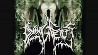 Dying Fetus  Bathe in Entrails [upl. by Bobby756]