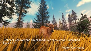 Bobcat Yellowstone Unleashed By Yellowstone Unleashed Ages 13 Roblox Gameplay [upl. by Annaul]