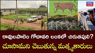 రావులపాలెంలో చిరుతపులి కలకలం  Andhra Vahini News Telugu [upl. by Aicilihp]