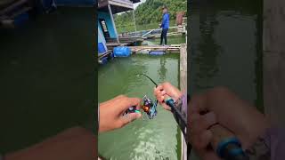 Strike talang kelong YBT pulau aman mancing kelong ybt pulauaman talang microjig ultralight [upl. by Everara]