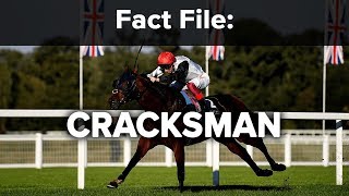 Fact File Cracksman [upl. by Ruscio906]