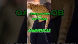 La increíble historia del GATO CALLEJERO BOB y JAMES BOWEN elgatobob jamesbowen shortdegatos [upl. by Newcomb]