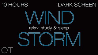 HOWLING WIND Sounds for Sleeping Relaxing Studying BLACK SCREEN Real Storm Sounds SLEEP SOUNDS [upl. by Carolynne204]