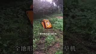 Remote control lawn mower manufacturer 100 ways to mow the grass National delivery welcome coope [upl. by Ettenaej]