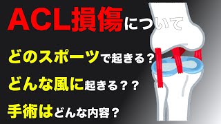 【膝の怪我】ACL損傷について [upl. by Aisauqal]