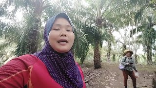 Saat Opening Video Saya Dan Kak Sri Teriak Ketakutan Karna Ini [upl. by Pincas327]