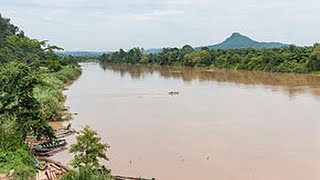 Kinabatangan River in Sabah Malaysia  Best Travel Destination [upl. by Libys979]