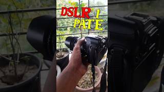 Dslr second hand kinlam  কেমন হলো ক্যামেরা টা দাম কতো  Dslr pate 1 [upl. by Ilrahc]