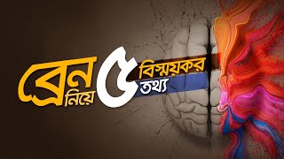 ব্রেন নিয়ে ৫টি বিষ্ময়কর তথ্য মেডিটেশন কোয়ান্টামমেথড ব্রেন মস্তিষ্ক brain brainpower [upl. by Katuscha]