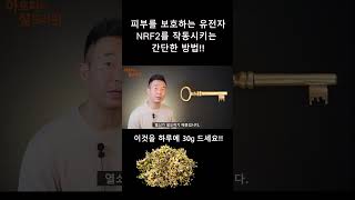 피부를 보호하는 유전자 NRF2 [upl. by Jobi731]