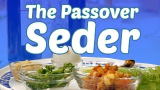 The Passover Seder What to Expect [upl. by Hertz]