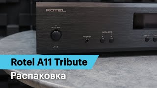 Распаковка интегрированного усилителя Rotel A11 [upl. by Ettevad803]