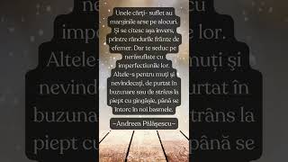 Citat Andreea Palasescu shorts [upl. by Colver58]