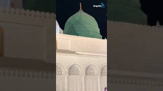 Ho darood tujh pe bhi amnamadinasharif naatsharif youtubeshorts daroodshareef [upl. by Inerney]