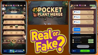 Pocket Plant Merge Legit Ba  Pocket Plant Merge Paga  Pocket Plant Merge Real Or Fake [upl. by Solakcin]