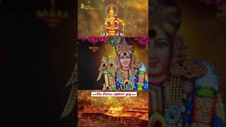 AROGARA AROGARA  MURUGAN BAJANAI SONG  SANDY EXPLORE shorts ayyappa sabarimalai song [upl. by Ahsinroc]