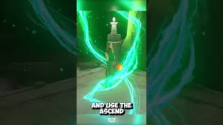 How to Get the Master Sword  Zelda Tears of the Kingdom [upl. by Ahseya]