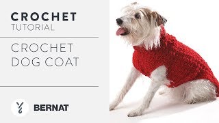 Crochet Dog Coat Tutorial [upl. by Gwen943]