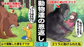 【漫画】昔助けた動物に恩返しされた人々…絶望的な状況で動物に助けられた動物たちと人間の心温まるストーリー・総集編 [upl. by Haerr]