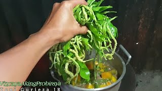 DINENGDENG NGA ALLUKON CARABASA Mixed veggies Traditional Ilocano style cooking [upl. by Ynamrej395]