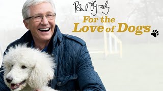 Paul OGrady For the Love of Dogs Episodes  Review [upl. by Ydennek]