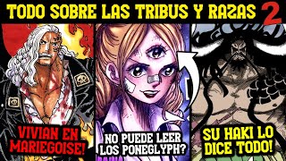 LOS LUNARIAN VIVIAN en MARIEGOISE  LOS ONI y SU HAKI  Las RAZAS Y TRIBUS de ONE PIECE PARTE 2 [upl. by Timon700]