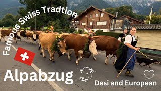 Alpabzug  Famous Swiss Tradition [upl. by Bogoch]