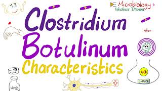 Clostridium botulinum Toxin Botox  Characteristics  Microbiology 🧫 amp Infectious Diseases 🦠 [upl. by Lenes]