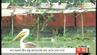 Bangabandhu Sheikh Mujib Safari Park Gaazipur Bangladesh [upl. by Fayola250]