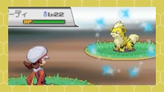 Shiny Growlithe after 9276 REs in HeartGold SBQ 6 [upl. by Manton]