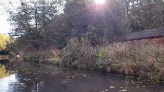 The mesmerising and enchanting views of the Cromford Canal [upl. by Hintze217]