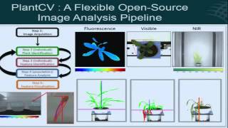 quotHighThroughput Plant Phenotyping Omics and Analyticsquot [upl. by Iroc]