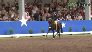 wwwtophorsecomau  Equestrian Australia Show Horse amp Rider Championships  Large Pony [upl. by Anivlek]