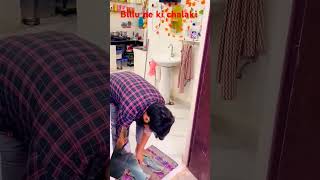 Billu ki chalaki comedy billicomedy cat funny billikisound catlover pets billikabachcha [upl. by Mcginnis]