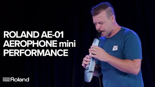 Roland AE01 Aerophone mini Performance and Sounds [upl. by Surtemed]