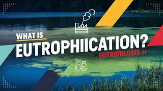 What is eutrophication with animation eutrophication [upl. by Ynnek]